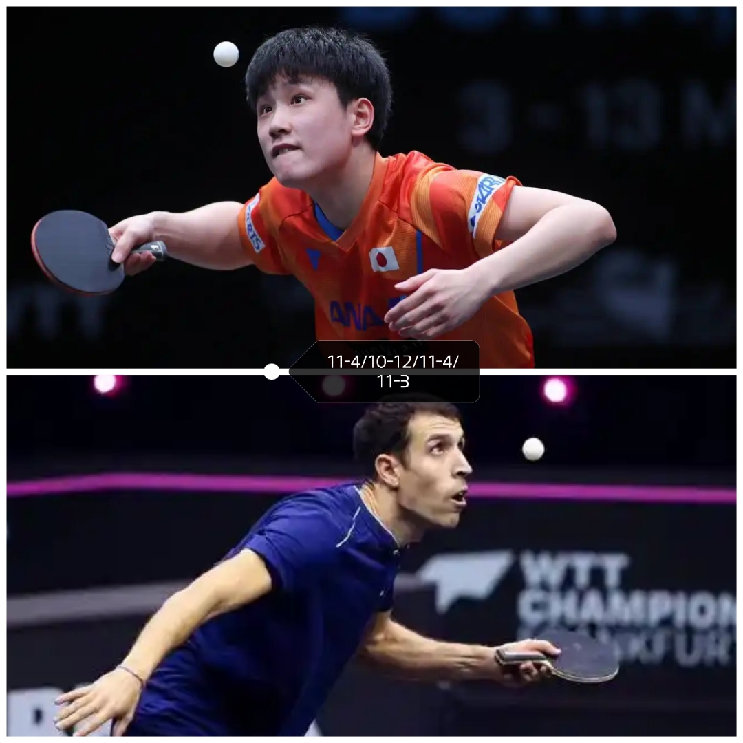 葡萄牙队轻取日本队,张本智和统治全场的简单介绍 葡萄牙队轻取日本队,张本智和统治全场的简单介绍