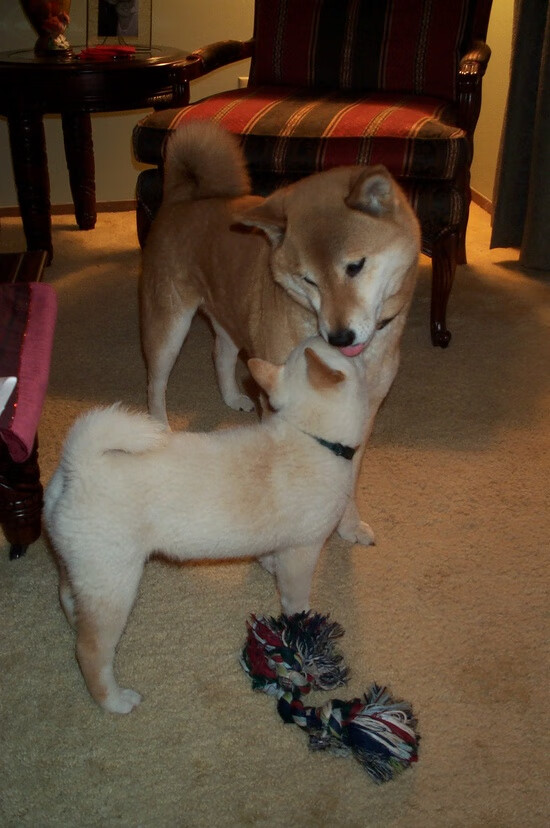 关键先生库里破魔术，开拓者碾压式大捷