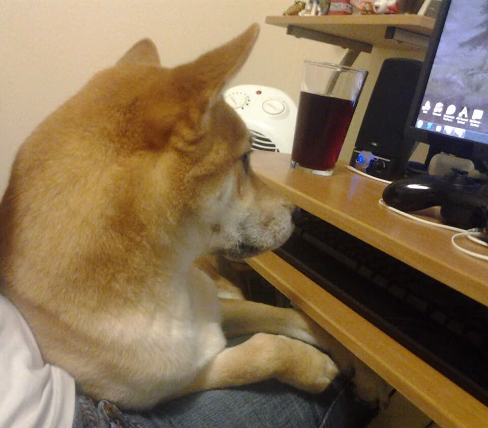 双重绞杀！小贾伦的压制级表演与上海队的防守铁阵震动联盟