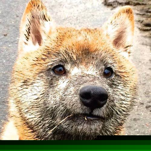 哈登导演式胜利，用一场虚构对决揭示比赛掌控力的本质