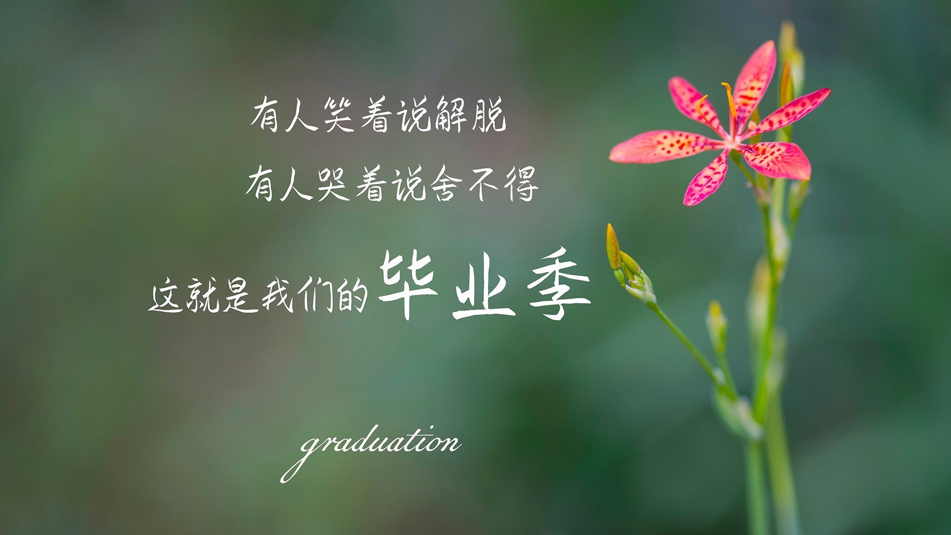 北欧铁幕对阵加勒比飓风，凯恩一剑封喉定江山