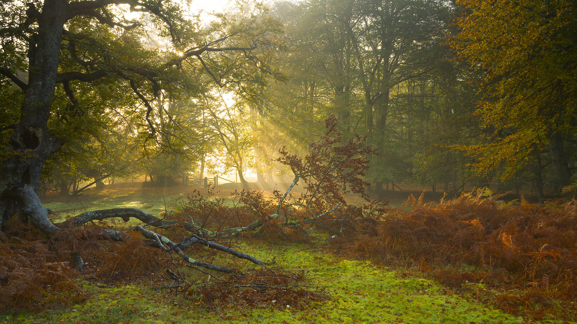 冰岛交响曲，厄德高在雷克雅未克的寒夜中奏响新生