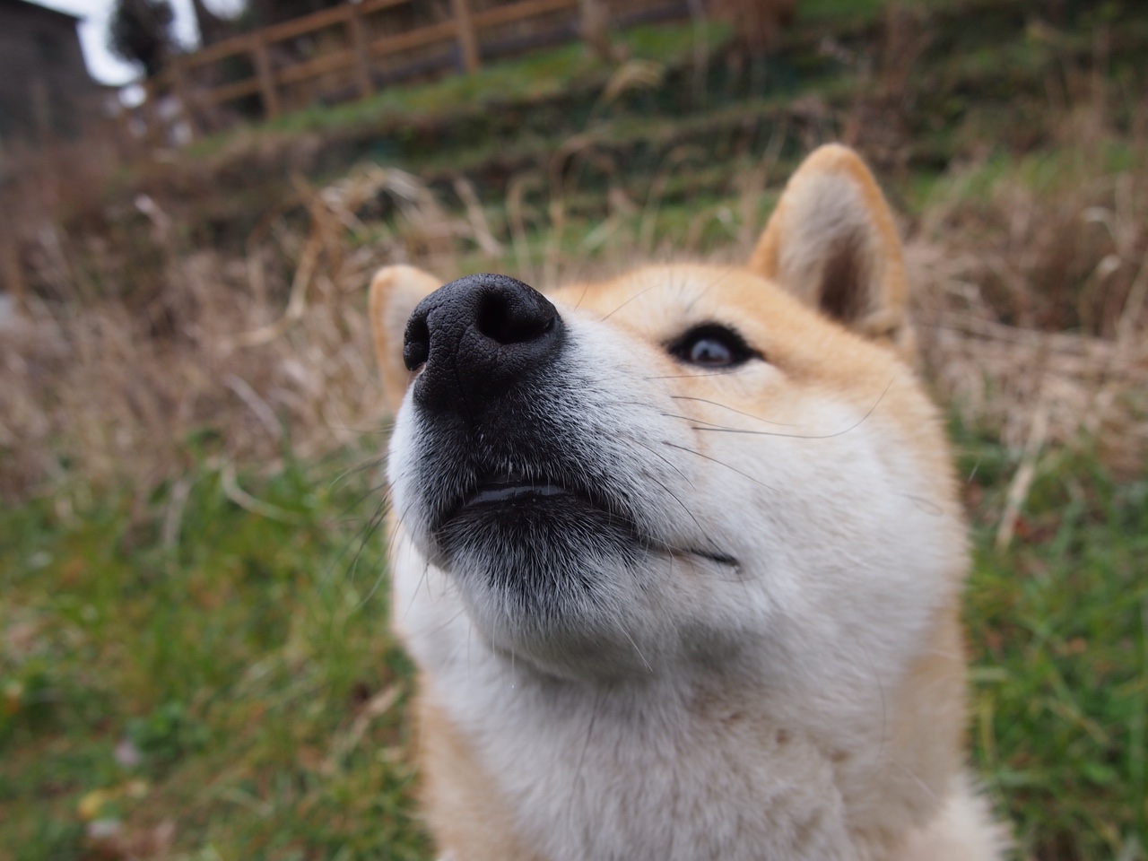 淬锋，沉默刀锋如何在冰封压力下劈开胜利之路