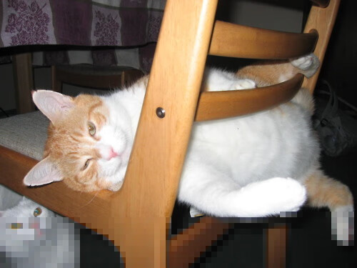 湖人之矛刺穿铁壁!英格拉姆加冕硬仗之王