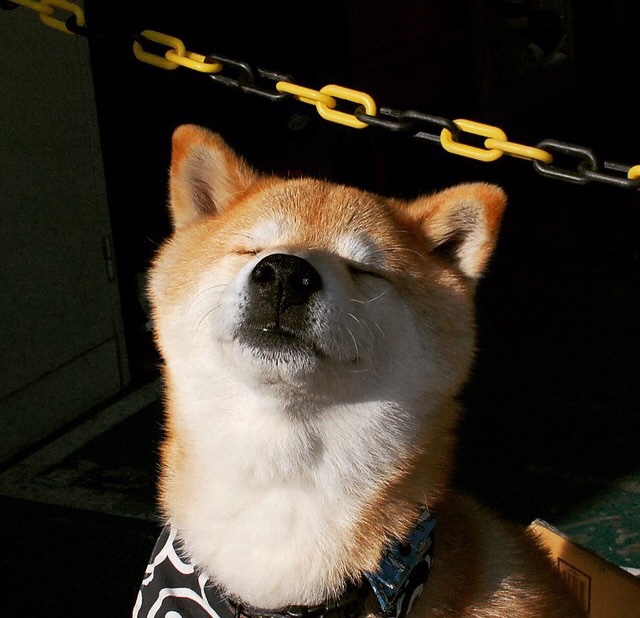 命运终场哨，当逆转绝杀成为马克西的封神宣言