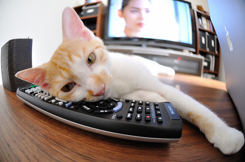 三分雨与英雄泪，沙特火力全开难敌末节惊雷，特奥独舞逆转乾坤