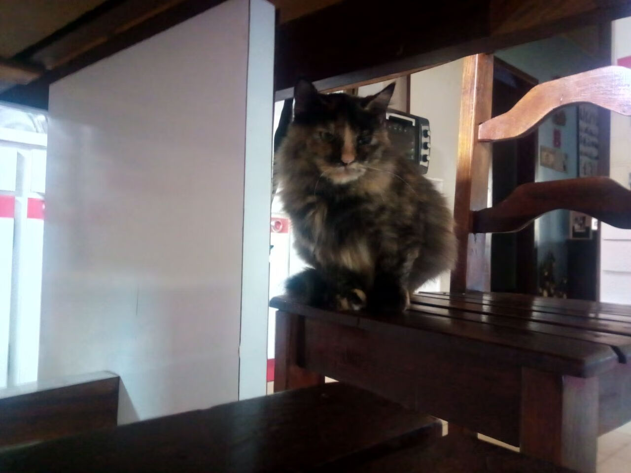 跨界风暴，湖人爆冷广厦队，克莱欧冠半决赛闪耀