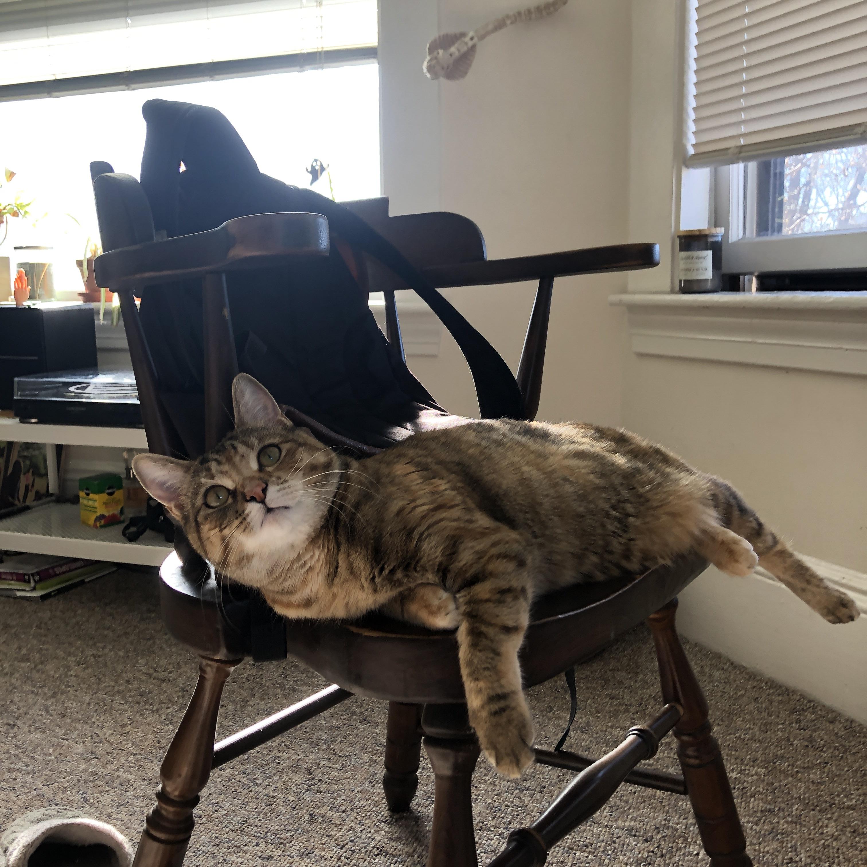 托尼的时钟与皇马的棋盘，当纪录刷新遇见战术压制