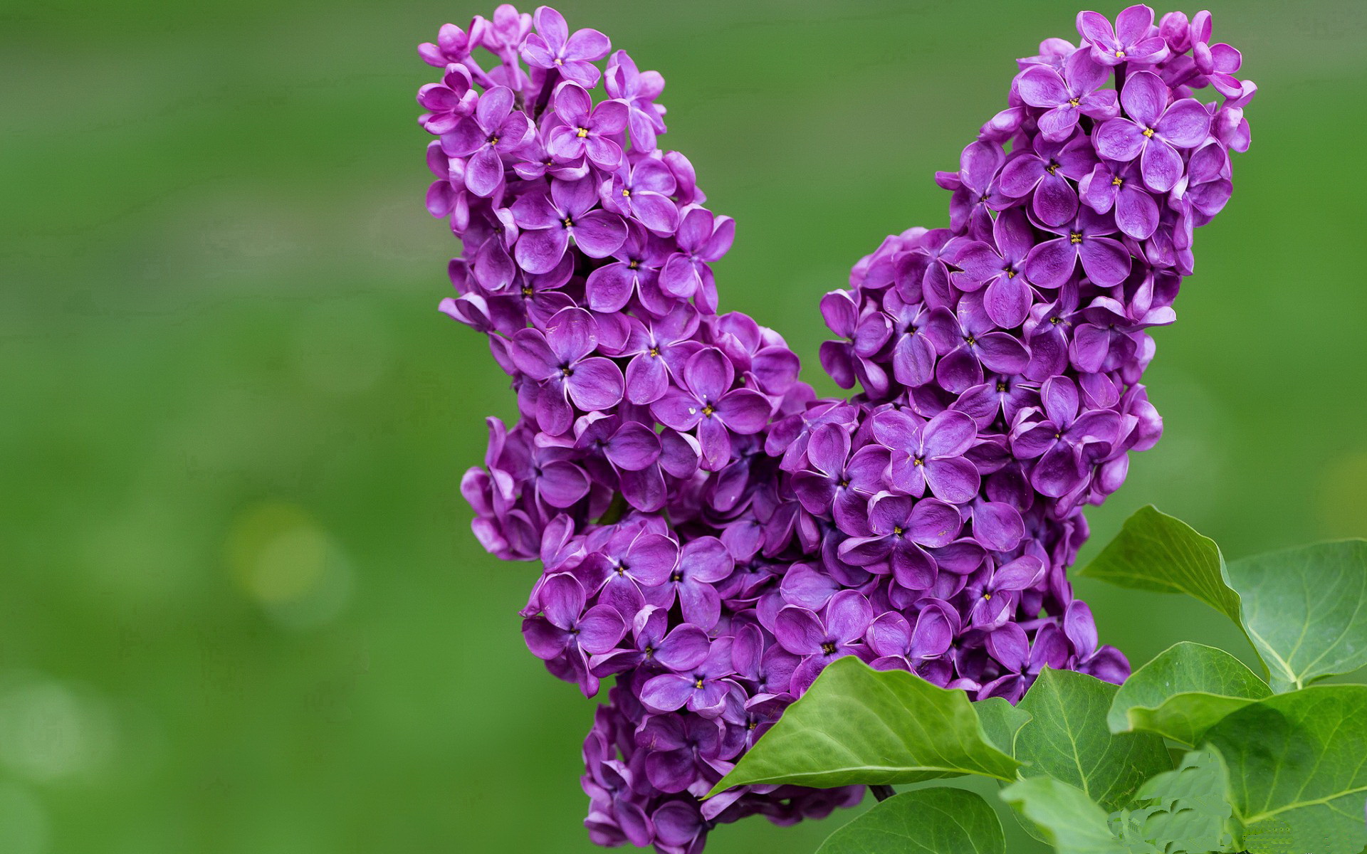 莱万一剑封喉，归化奇兵导演逆转，马里绝境碾过墨西哥铁壁