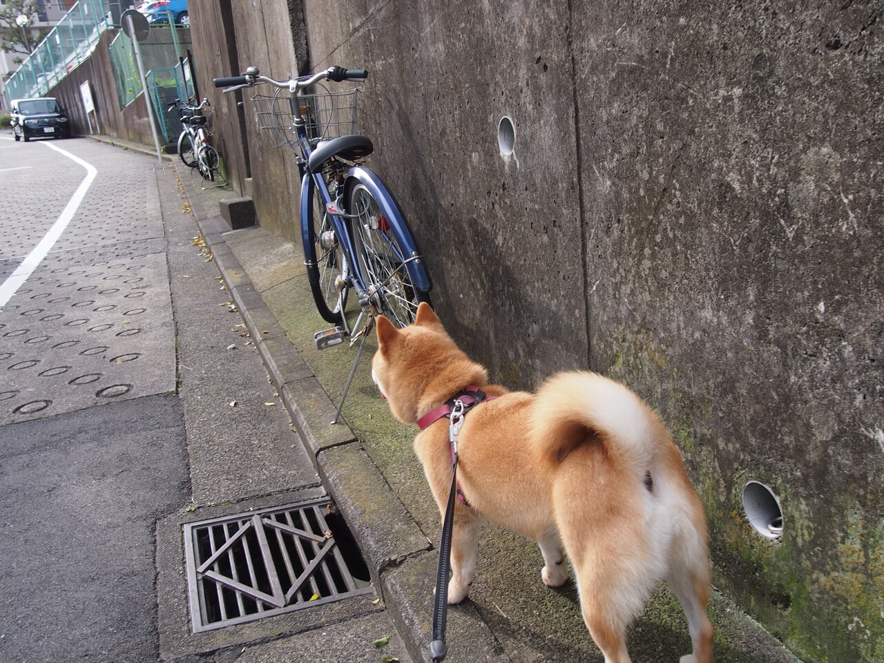 非洲雄狮的怒吼，加纳轻取巴萨，德布劳内于年度焦点之战中接管比赛