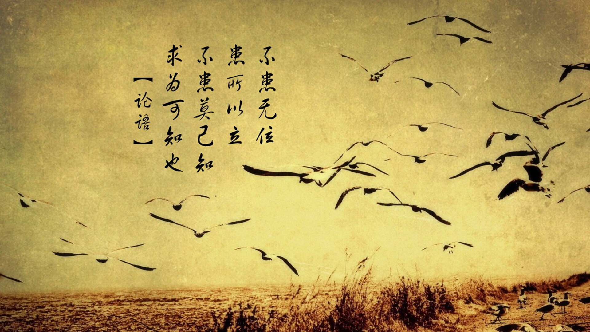 压制的悖论，当哈基米的致命一击，为阿根廷的犀利奏响挽歌