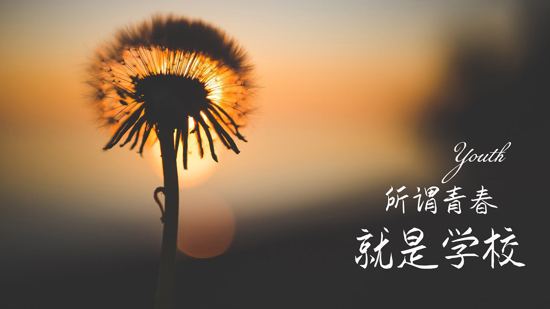 当完美主义者碾过天才,2026年B组那场反足球的胜利