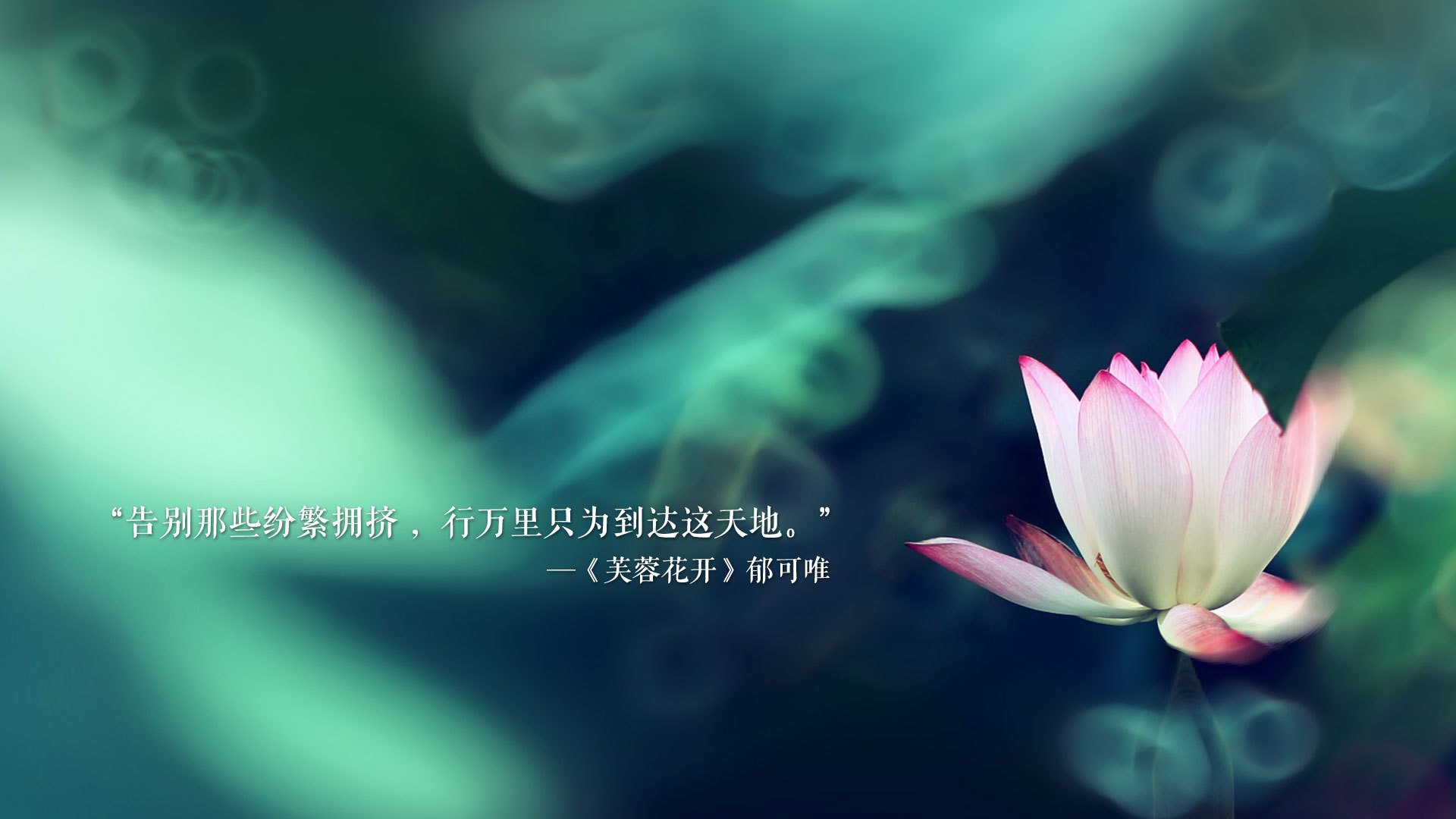 铁与柔的交响,阿根廷钢铁洪流中的托纳利之舞