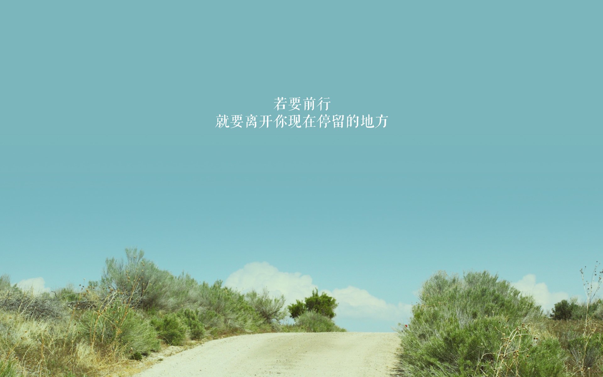北非雄狮的咆哮,当齐耶赫的魔幻之舞,撕裂中美洲门神的最后防线—唯一视角解析美加墨世界杯摩洛哥对哥斯达黎加之战